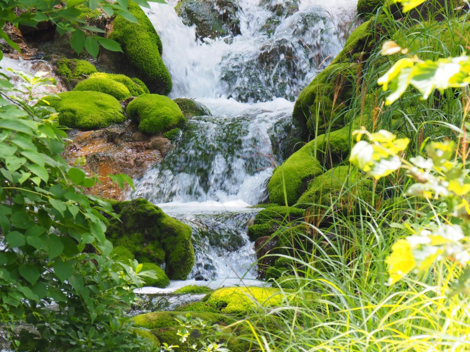 Buna Kusatsu Onsen Inn Zewnętrze zdjęcie